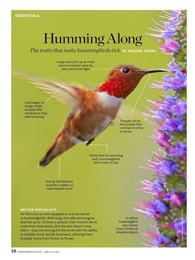 Birds & Blooms(圖2)-速報App