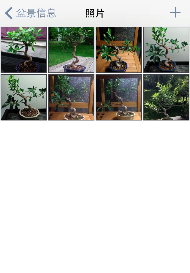 Bonsai Album screenshot 4