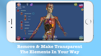Screenshot #3 pour AR Anatomy ++