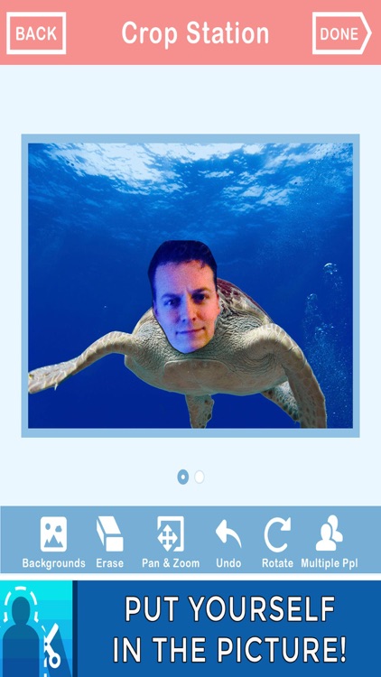 In The Pic Photo Crop & Chop