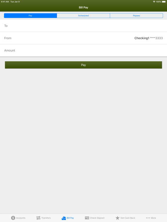 The Southern Credit Union iPad screenshot 5 - Finance app