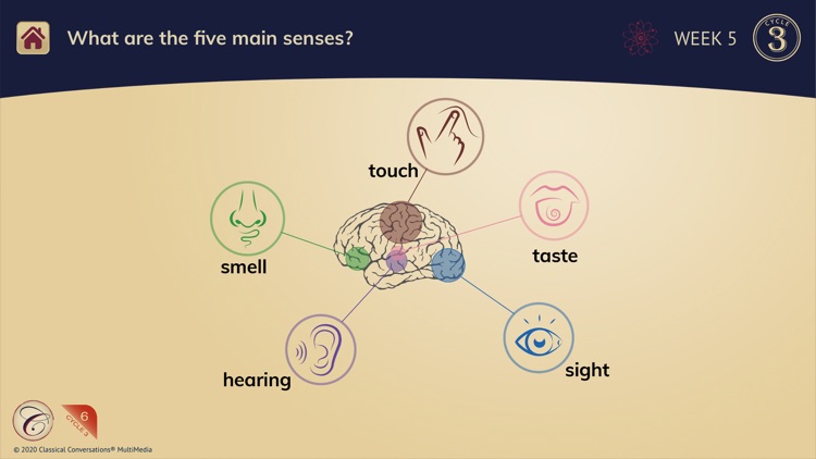 Foundations Memory Work C3 screenshot-3