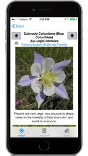 colorado rocky mtn wildflowers problems & solutions and troubleshooting guide - 4