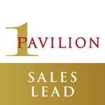 1P Sales Lead App Contact