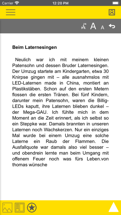 Neue Deister-Zeitung E-Paper Screenshot