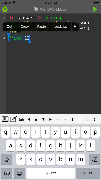 BASIC Programming Compiler screenshot 3
