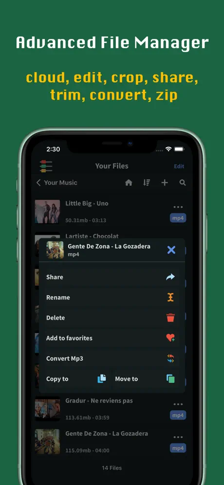 FoxFM - File Manager & Player