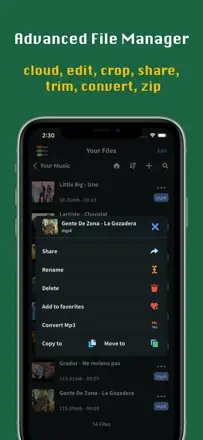 FoxFM: Screenshot 3 von 3