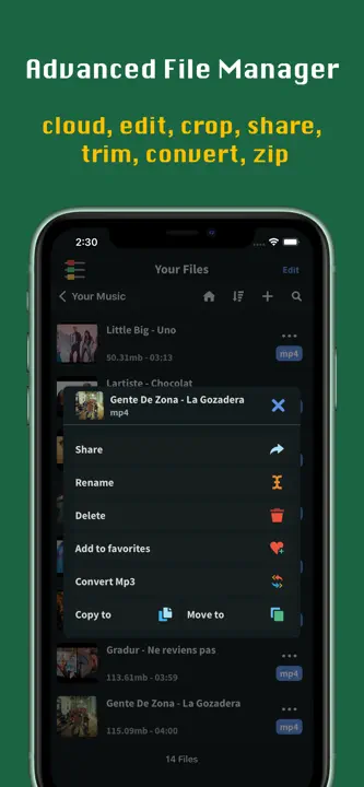 FoxFM: Screenshot 3 von 3