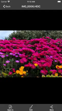 Power Photo – Photo Processing iPhone image 3
