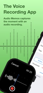 Audio Memos SE: Mic Recorder screenshot #1 for iPhone