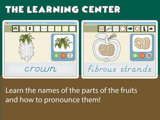 Screenshot #5 pour Montessori Parts of Fruits
