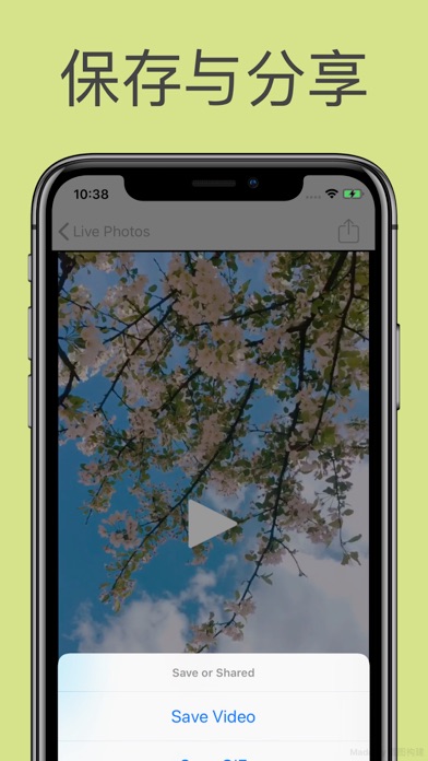 livephoto实况图片转gifios版下载