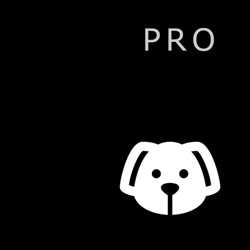 ServerDog Pro: Status, SSH