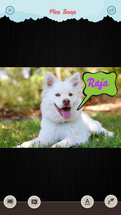 Pics Snap screenshot-5