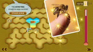 Honey Tina and the Bees screenshot 4