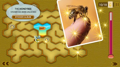 Honey Tina and Bees Screenshot