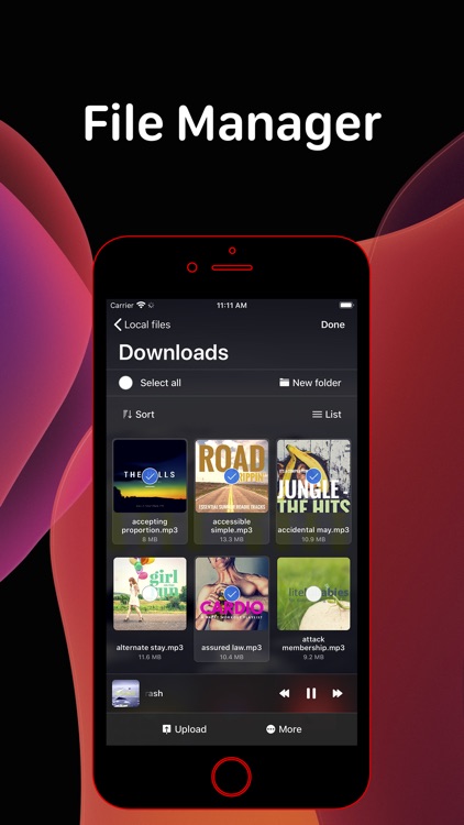 Evermusic Pro: offline music screenshot-6