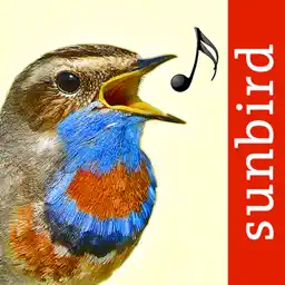 Vogelstimmen Id - Rufe,Gesänge app icon