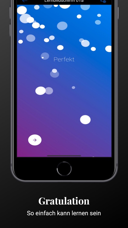 M&I Spanisch Premium screenshot-9