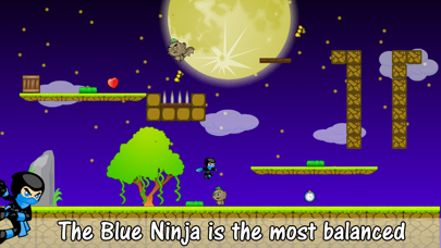 The Mini Ninja screenshot 2