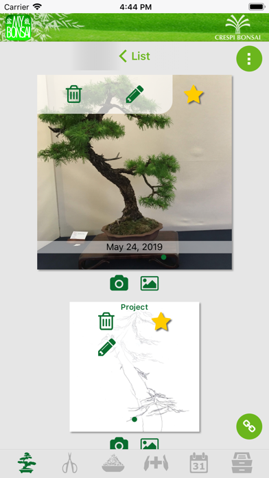 MyBonsai Screenshot