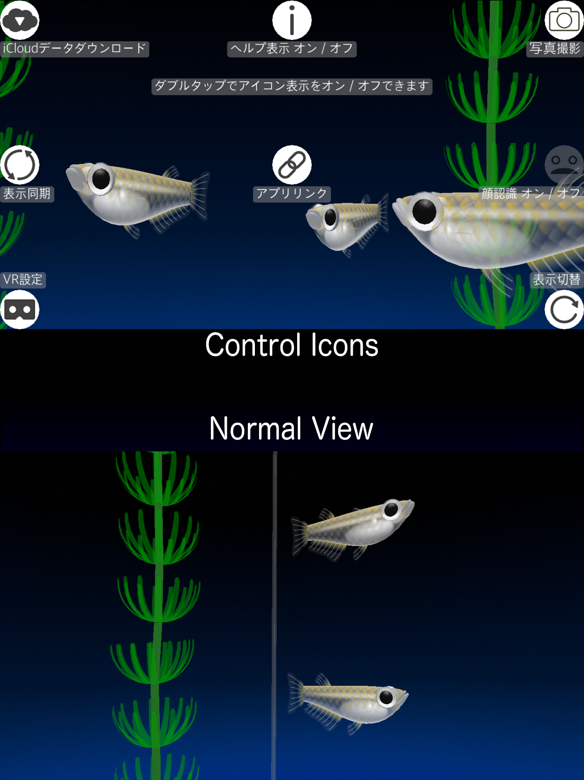 Rice Fish AR/VR