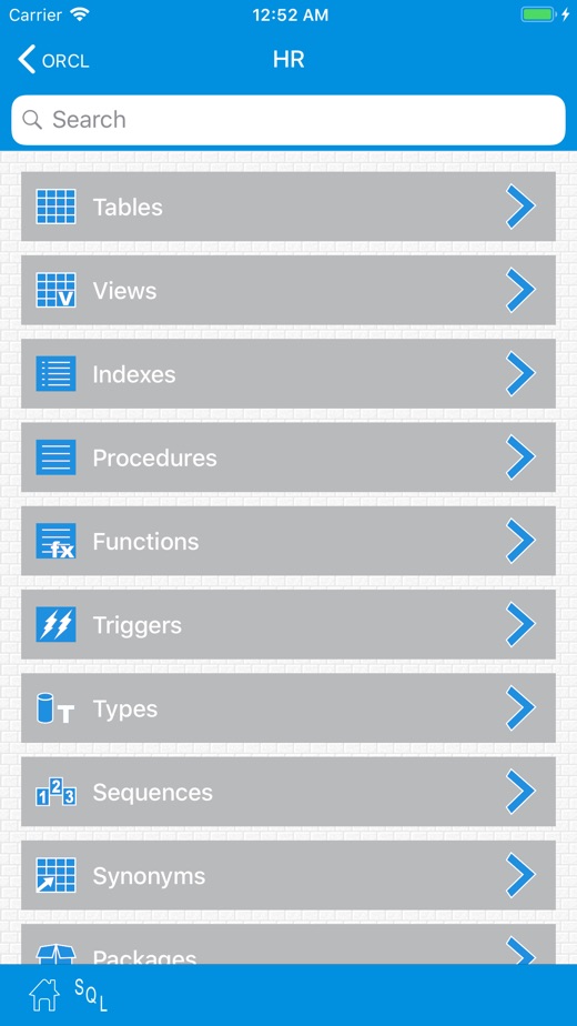 【图】OracleProg2 – Oracle Client(截图3)