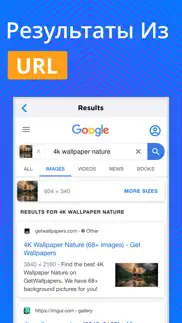 reverse image search & lookup айфон картинки 4
