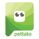Top 10 Social Networking Apps Like Pettato - Best Alternatives