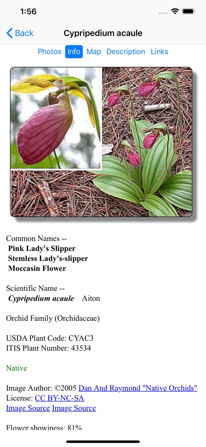 Wisconsin Wildflowers