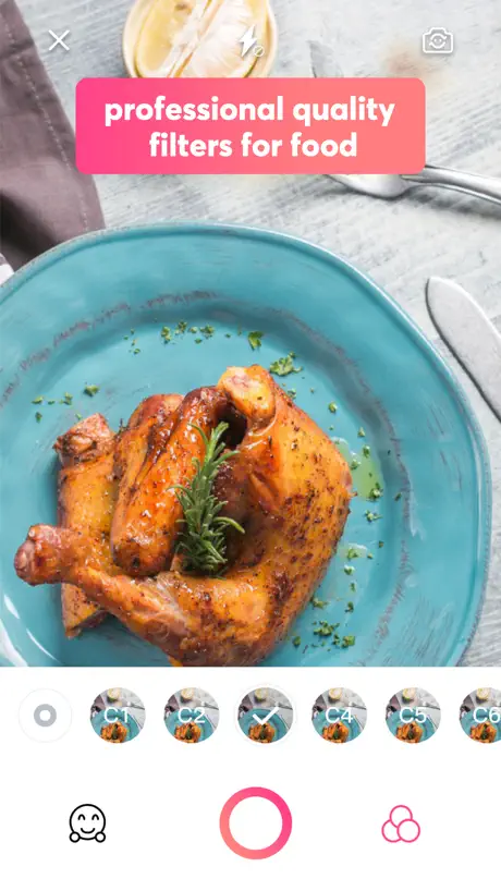 Delicious Diary 365- Diet Book