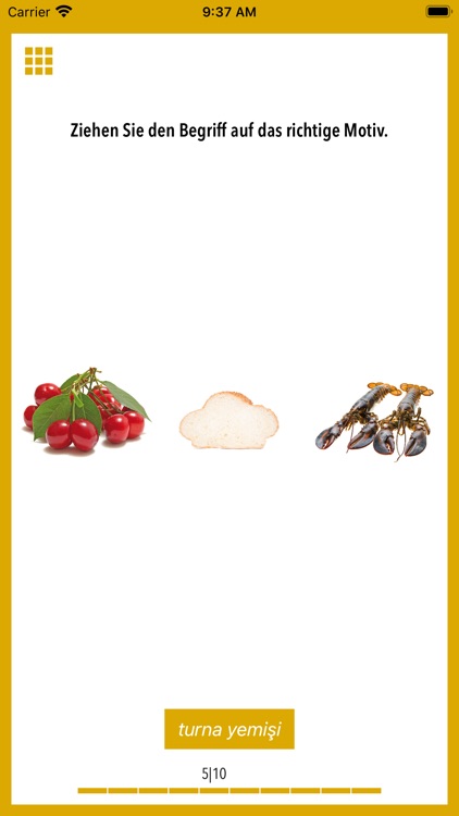 Bildwörterbuch für Türkisch screenshot-3