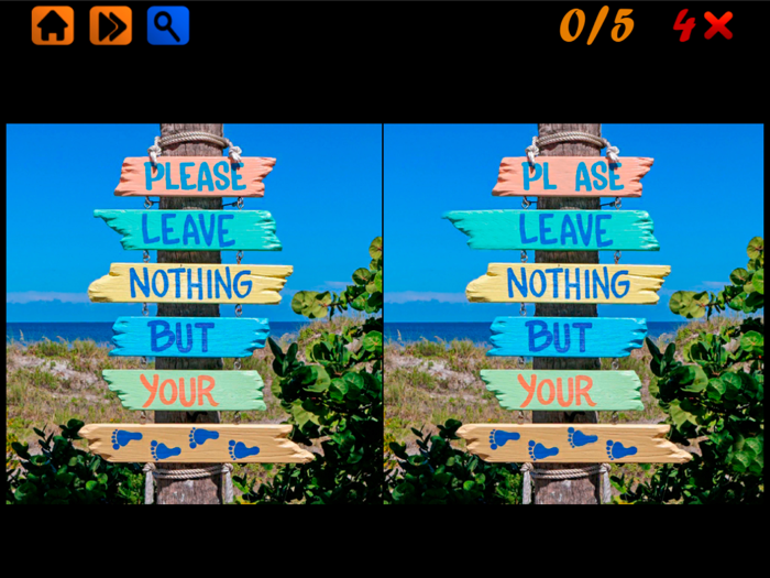 Spot the Differences 100