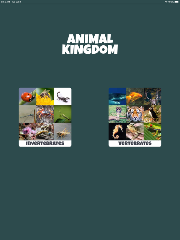 Animal Kingdom (wildlife) iPad screenshot