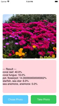 Analysis for DeepLearning screenshot 1