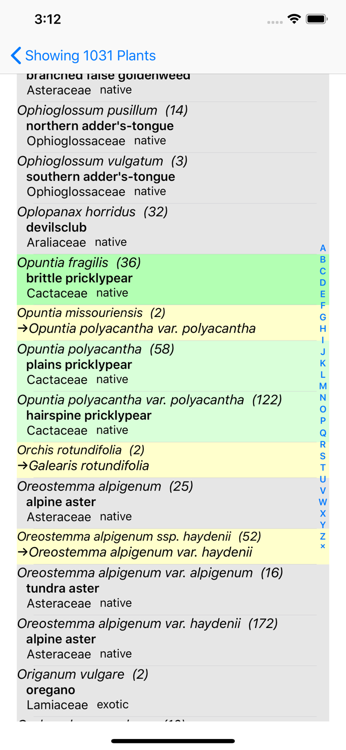 Wildflowers of Montana