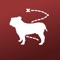 Voted #1 campus app for Mississippi State University