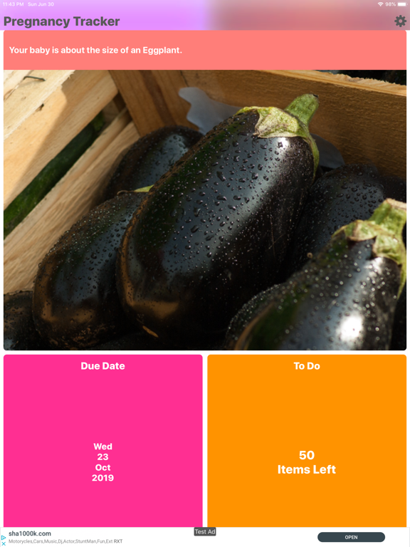 Pregnancy Tracker Your Journey iPad screenshot 4 - Medical app