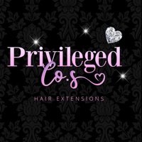 Privileged Co. pour PC