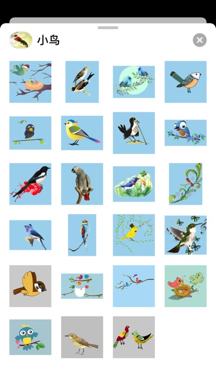 小鸟贴纸