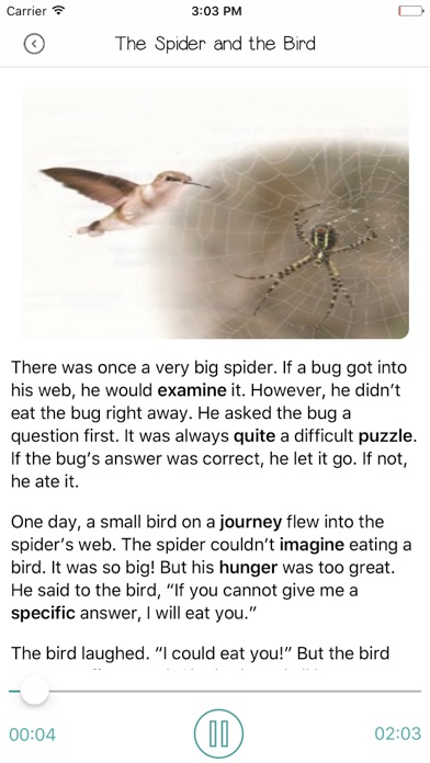 Screenshot #3 pour Essential Words