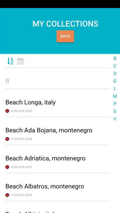 BeachRex screenshot