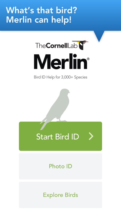 Merlin Bird ID by Cornell Lab screenshot-0