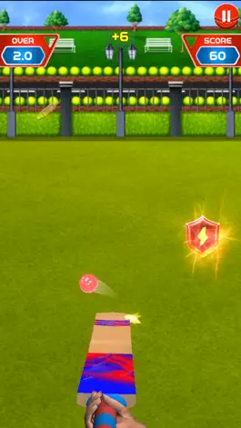 Game screenshot Knock Knock Cricket 2019 apk