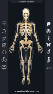 ar skeleton anatomy iphone screenshot 3