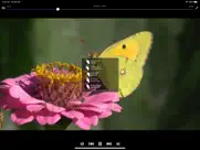 video manager pro for cloud ipad capturas de pantalla 4