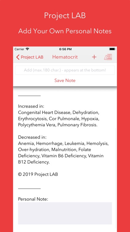 Project LAB screenshot-4