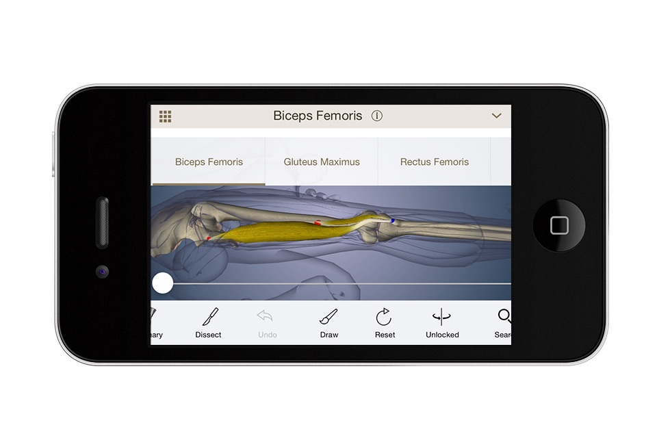 Anatomy U-Experiential Anatomy screenshot 2
