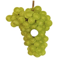 Znojemské historické vinobraní